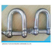 Zinc Plated European Type D Shackle